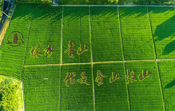 MG游戏官网 - 首页