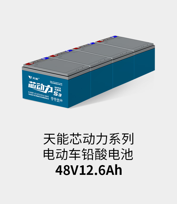 MG电子电池48v12ah
