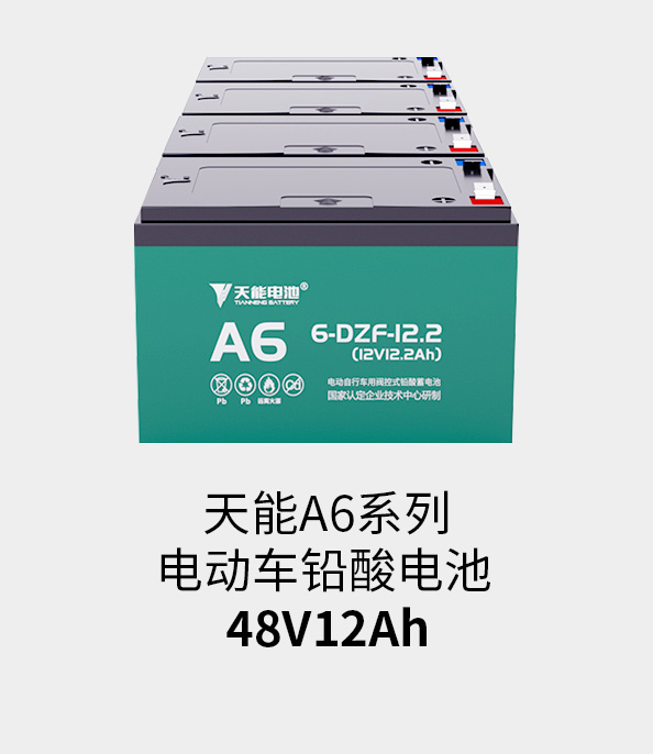 MG电子电池48v12ah