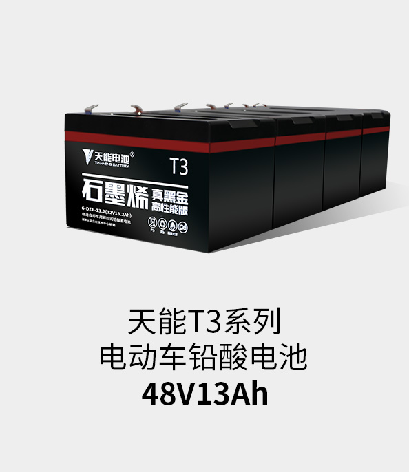 MG电子T3系列48v13ah