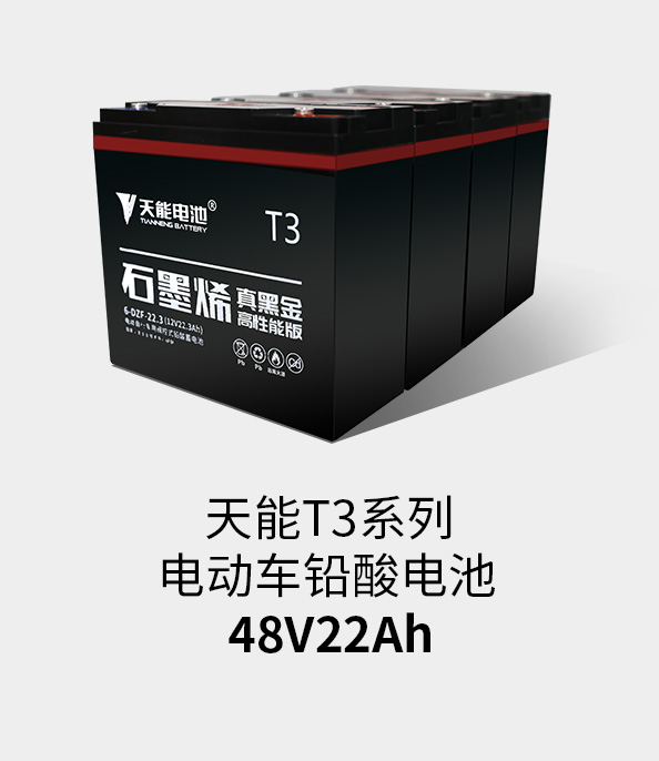 MG电子T3系列48v22ah