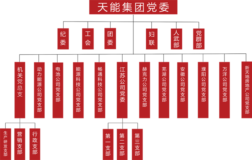 MG电子建团党委组织架构